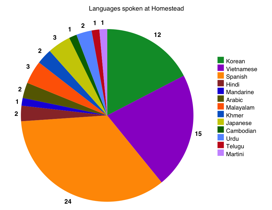 Overview Russian As Second 46