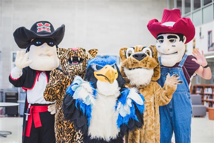 LID Mascots