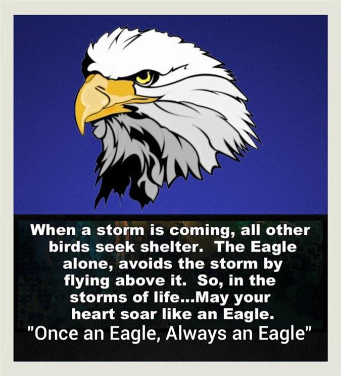 Once an Eagle...