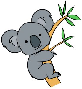 koala 