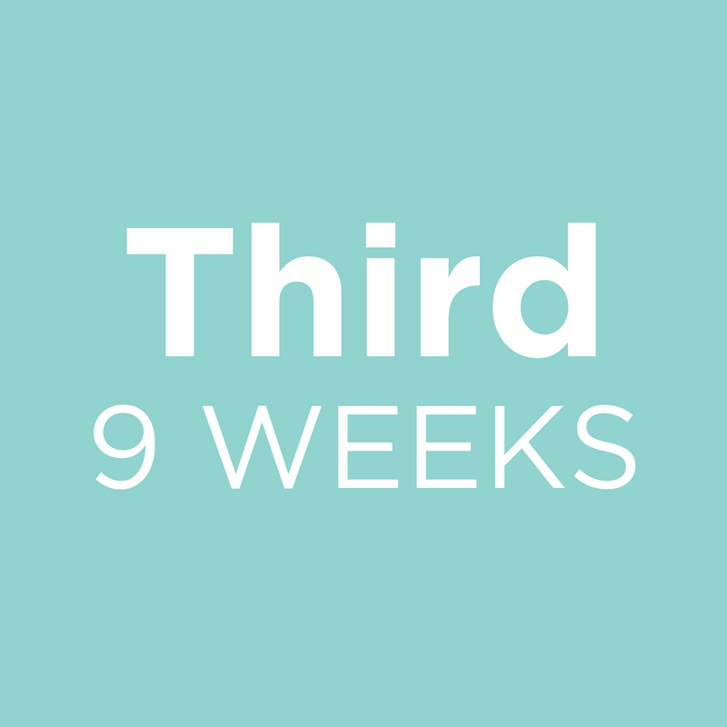 Third 9 Weeks 