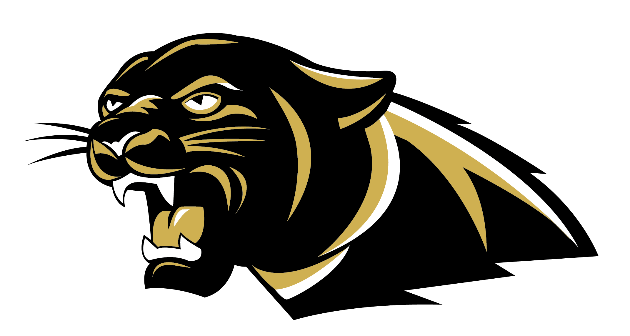 The Colony High School Home Of The Cougars